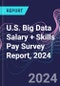 U.S. Big Data Salary + Skills Pay Survey Report, 2024 - Product Thumbnail Image