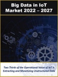Big Data in IoT by Technology, Infrastructure, Solutions, and Industry Verticals 2022 - 2027- Product Image