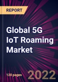 Global 5G IoT Roaming Market 2022-2026- Product Image
