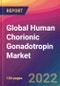 Global Human Chorionic Gonadotropin Market: Size, Share, Application Analysis, Regional Outlook, Growth Trends, Key Players, Competitive Strategies and Forecasts, 2022-2030 - Product Thumbnail Image