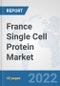 France Single Cell Protein Market: Prospects, Trends Analysis, Market Size and Forecasts up to 2028 - Product Thumbnail Image