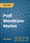 Pvdf Membrane Market Outlook and Growth Forecast 2023-2030: Emerging Trends and Opportunities, Global Market Share Analysis, Industry Size, Segmentation, Post-Covid Insights, Driving Factors, Statistics, Companies, and Country Landscape - Product Image