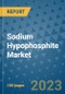 Sodium Hypophosphite Market Outlook and Growth Forecast 2023-2030: Emerging Trends and Opportunities, Global Market Share Analysis, Industry Size, Segmentation, Post-Covid Insights, Driving Factors, Statistics, Companies, and Country Landscape - Product Image