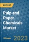 Pulp and Paper Chemicals Market Outlook and Growth Forecast 2023-2030: Emerging Trends and Opportunities, Global Market Share Analysis, Industry Size, Segmentation, Post-Covid Insights, Driving Factors, Statistics, Companies, and Country Landscape - Product Image