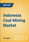 Indonesia Coal Mining Market by Reserves and Production, Assets and Projects, Fiscal Regime including Taxes and Royalties, Key Players and Forecast, 2022-2026 - Product Thumbnail Image