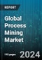 Global Process Mining Market by Component (Services, Software), Enterprise Size (Large Enterprises, Small & Medium Enterprises), Deployment, Application, End User - Forecast 2023-2030 - Product Image