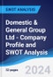 Domestic & General Group Ltd - Company Profile and SWOT Analysis - Product Thumbnail Image