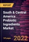 South & Central America Prebiotic Ingredients Market Forecast to 2028 - COVID-19 Impact and Regional Analysis - by Type, Form, and Application - Product Thumbnail Image