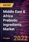 Middle East & Africa Prebiotic Ingredients Market Forecast to 2028 - COVID-19 Impact and Regional Analysis - by Type, Form, and Application - Product Image