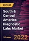 South & Central America Diagnostic Labs Market Forecast to 2028 - COVID-19 Impact and Regional Analysis - By Lab Type, Testing Services and Revenue Source - Product Thumbnail Image