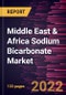 Middle East & Africa Sodium Bicarbonate Market Forecast to 2028 - COVID-19 Impact and Regional Analysis - by Grade, Form, and End User - Product Thumbnail Image