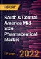 South & Central America Mid-Size Pharmaceutical Market Forecast to 2028 - COVID-19 Impact and Regional Analysis - by Type, Drug Development Type, Formulation, and Therapy Class - Product Thumbnail Image