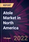 Atole Market in North America 2022-2026 - Product Thumbnail Image