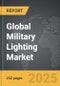 Military Lighting - Global Strategic Business Report - Product Thumbnail Image