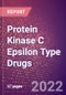 Protein Kinase C Epsilon Type (nPKC Epsilon or PRKCE or EC 2.7.11.13) Drugs in Development by Stages, Target, MoA, RoA, Molecule Type and Key Players, 2022 Update - Product Thumbnail Image