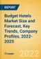 Budget Hotels Market Size and Forecast, Key Trends, Company Profiles, 2022-2025 - Product Image