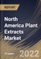 North America Plant Extracts Market Size, Share & Industry Trends Analysis Report by Application, Source, Form, Product Type, Country and Growth Forecast, 2022-2028 - Product Thumbnail Image