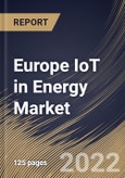 Europe IoT in Energy Market Size, Share & Industry Trends Analysis Report by Application, Network Technology, Component, Organization Size, Country and Growth Forecast, 2022-2028- Product Image