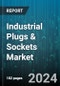 Industrial Plugs & Sockets Market by Type, Protection, Current, End-User - Global Forecast 2025-2030 - Product Image