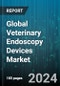 Global Veterinary Endoscopy Devices Market by Type (Flexible, Rigid), Animal (Large Animals, Small Animals), Procedure, Application - Forecast 2024-2030 - Product Image