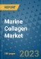 Marine Collagen Market Growth Outlook and Opportunity Analysis- Industry Trends, Developments, Companies, and Marine Collagen Market Size Forecast to 2030 - Product Image