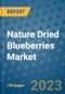 Nature Dried Blueberries Market Growth Outlook and Opportunity Analysis- Industry Trends, Developments, Companies, and Nature Dried Blueberries Market Size Forecast to 2030 - Product Image