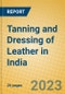 Tanning and Dressing of Leather in India: ISIC 1911 - Product Thumbnail Image