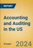 Accounting and Auditing in the US- Product Image