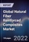 Global Natural Fiber Reinforced Composites Market Size, Segments, Outlook, and Revenue Forecast 2022-2030 by Fiber Type, Polymer, End-user Industry, and Region - Product Thumbnail Image