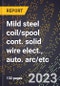 2024 Global Forecast for Mild steel coil/spool cont. solid wire elect., auto. arc/etc. (2025-2030 Outlook)-Manufacturing & Markets Report - Product Image