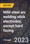 2024 Global Forecast for Mild steel arc welding stick electrodes, except hard facing (2025-2030 Outlook)-Manufacturing & Markets Report - Product Thumbnail Image