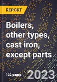 2024 Global Forecast for Boilers, other types, cast iron, except parts (2025-2030 Outlook)-Manufacturing & Markets Report- Product Image
