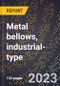 2024 Global Forecast for Metal bellows, industrial-type (2025-2030 Outlook)-Manufacturing & Markets Report - Product Thumbnail Image