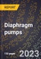 2024 Global Forecast for Diaphragm pumps (2025-2030 Outlook)-Manufacturing & Markets Report - Product Image