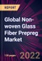 Global Non-woven Glass Fiber Prepreg Market 2022-2026 - Product Image