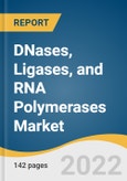 DNases, Ligases, and RNA Polymerases Market Size, Share & Trends Analysis Report by Application (DNases-Biopharmaceutical Processing, Ligases-Oligonucleotide Synthesis), by Region, and Segment Forecasts, 2022-2030- Product Image