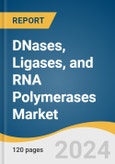 DNases, Ligases, and RNA Polymerases Market Size, Share & Trends Analysis Report by Application (DNases-Biopharmaceutical Processing, Ligases-Oligonucleotide Synthesis), by Region, and Segment Forecasts, 2022-2030- Product Image