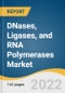 DNases, Ligases, and RNA Polymerases Market Size, Share & Trends Analysis Report by Application (DNases-Biopharmaceutical Processing, Ligases-Oligonucleotide Synthesis), by Region, and Segment Forecasts, 2022-2030 - Product Image