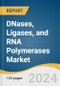 DNases, Ligases, and RNA Polymerases Market Size, Share & Trends Analysis Report by Application (DNases-Biopharmaceutical Processing, Ligases- ligonucleotide Synthesis), Region, and Segment Forecasts, 2024-2030 - Product Image