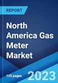 North America Gas Meter Market: Industry Trends, Share, Size, Growth, Opportunity and Forecast 2023-2028- Product Image
