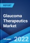 Glaucoma Therapeutics Market: Global Industry Trends, Share, Size, Growth, Opportunity and Forecast 2022-2027 - Product Thumbnail Image