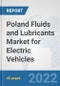 Poland Fluids and Lubricants Market for Electric Vehicles: Prospects, Trends Analysis, Market Size and Forecasts up to 2028 - Product Thumbnail Image