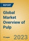 Global Market Overview of Pulp - Product Thumbnail Image