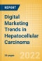 Digital Marketing Trends in Hepatocellular Carcinoma - Product Image