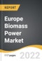 Europe Biomass Power Market 2022-2028 - Product Image