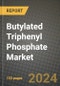 2024 Butylated Triphenyl Phosphate Market Outlook Report: Industry Size, Market Shares Data, Insights, Growth Trends, Opportunities, Competition 2023 to 2031 - Product Image