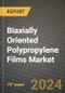 2023 Biaxially Oriented Polypropylene Films Market Outlook Report - Market Size, Market Split, Market Shares Data, Insights, Trends, Opportunities, Companies: Growth Forecasts by Product Type, Application, and Region from 2022 to 2030 - Product Image