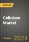2024 Cellulose Market Outlook Report: Industry Size, Market Shares Data, Insights, Growth Trends, Opportunities, Competition 2023 to 2031 - Product Thumbnail Image