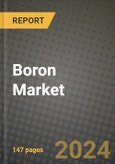 2024 Boron Market Outlook Report: Industry Size, Market Shares Data, Insights, Growth Trends, Opportunities, Competition 2023 to 2031- Product Image