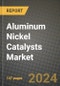 2024 Aluminum Nickel Catalysts Market Outlook Report: Industry Size, Market Shares Data, Insights, Growth Trends, Opportunities, Competition 2023 to 2031 - Product Thumbnail Image